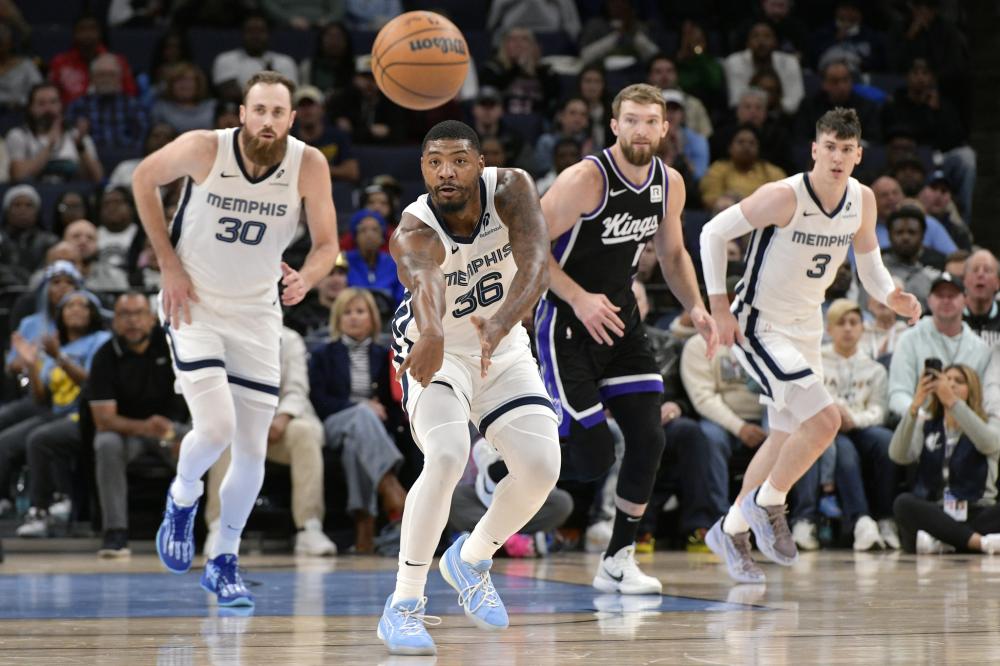 专业性和参 专业性和参