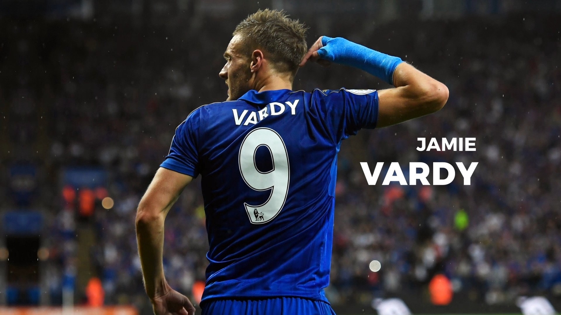 作为一家全 作为一家全